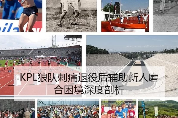 KPL狼队刺痛退役后辅助新人磨合困境深度剖析